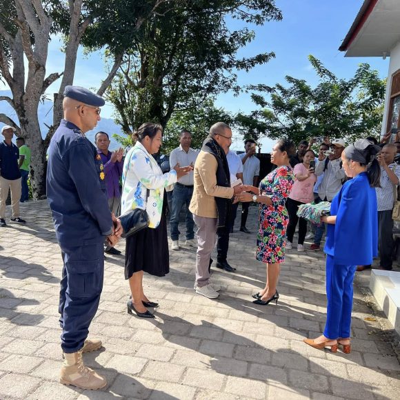 DISEMINASAUN LEI No.3/2017